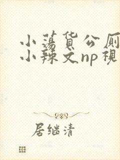 小荡货公厕h文小辣文np视频