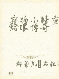 宠物小精灵之写轮眼传奇