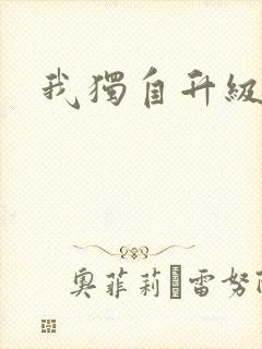 我独自升级漫画封面