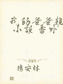 我的爸爸亲父女 小说 番外