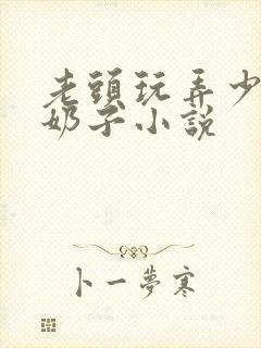 老头玩弄少妇的奶子小说