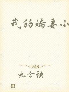 我的娇妻小说