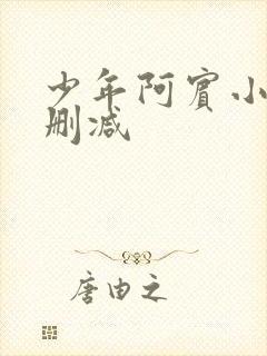 少年阿宾小说无删减