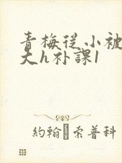 青梅从小被c到大h补课1封面