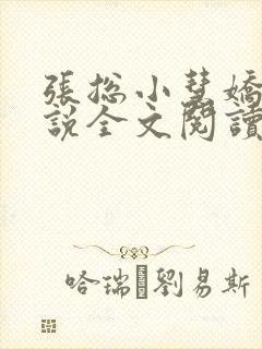 张总小慧娇妻小说全文阅读