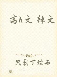 高h文 辣文