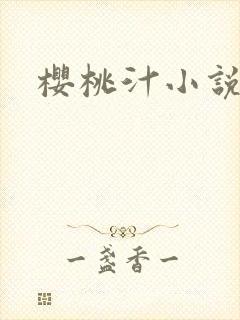 樱桃汁小说