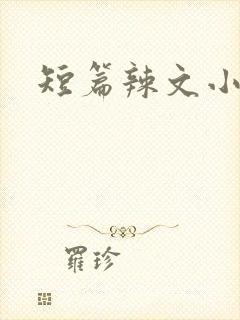 短篇辣文小说封面