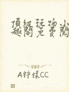 顶级玩物小说笔趣阁免费阅读