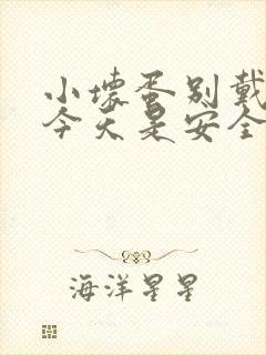 小坏蛋别戴套了今天是安全期封面