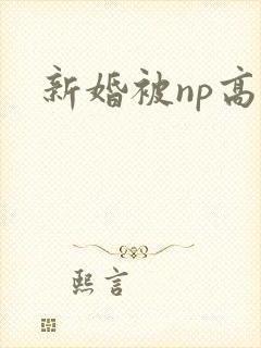新婚被np高h