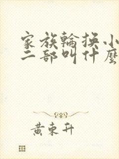 家族轮换小说第二部叫什么名字