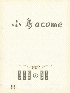 小鸟acome封面