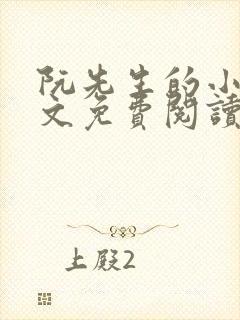 阮先生的小说全文免费阅读无弹窗封面