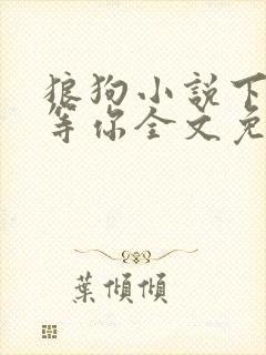 狼狗小说下次我等你全文免费阅读