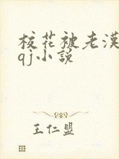校花被老汉狂肉qj小说封面