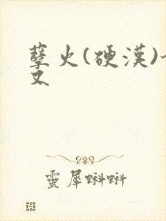 孽火(硬汉)今又