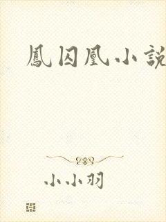 凤囚凰小说