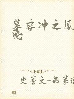 慕容冲之凤凰于飞封面