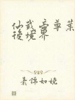 仙武帝尊叶辰最后境界