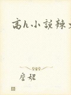 高h小说辣文封面