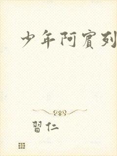 少年阿宾列表封面