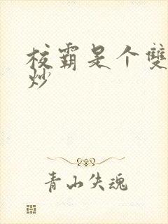 校霸是个双被爆炒封面