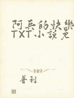 阿兵的快乐生活TXT小说免费阅读全章