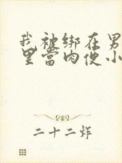 我被绑在男公厕里当肉便小说