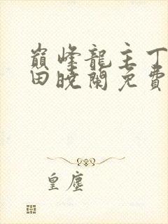 巅峰龙主丁长顺田晓兰免费阅读