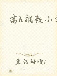 高h调教小说封面