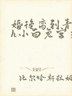 婚后脔到青梅哭h小白兔宫交h