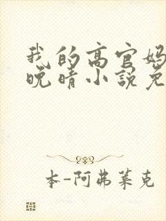 我的高官妈妈苏晚晴小说免费阅读