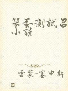 笨蛋测试召唤兽小说