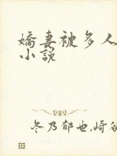 娇妻被多人调教小说封面