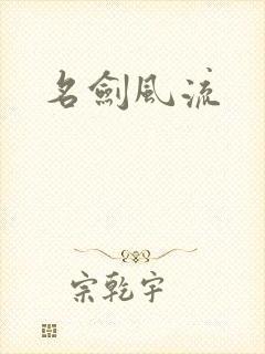 名剑风流封面