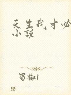 天生我才必有用小说