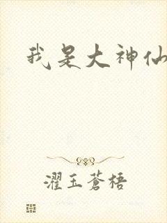 我是大神仙小说封面