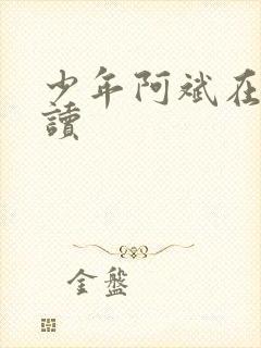 少年阿斌在线阅读