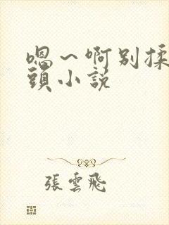 嗯～啊别揉我奶头小说