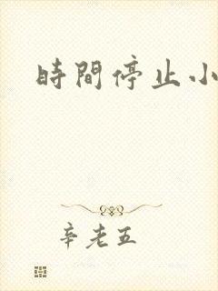 时间停止小说