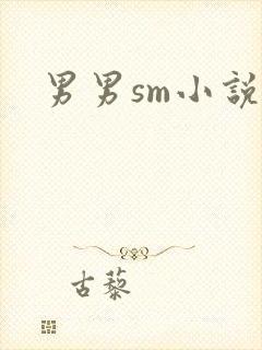男男sm小说