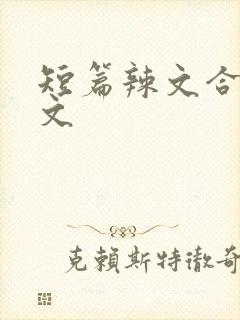 短篇辣文合集h文