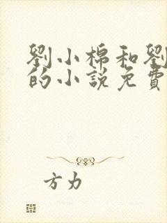 刘小棉和刘易文的小说免费阅读