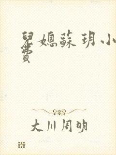 儿媳苏玥小说免费