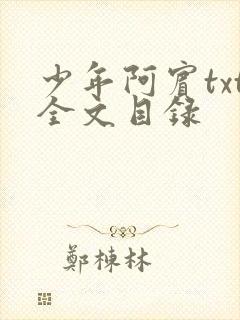 少年阿宾txt全文目录