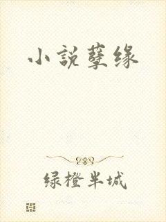 小说孽缘