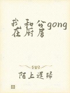 我和公gong在厨房