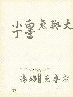 小白兔与大灰狼丁当封面