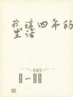 我这四年的奴隶生活封面